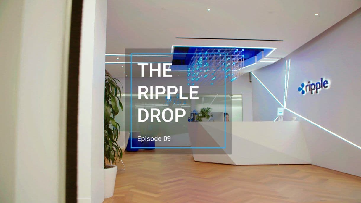 Image for The Ripple Drop – Episode 9